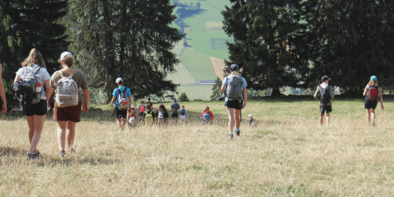 header bild mjks lager