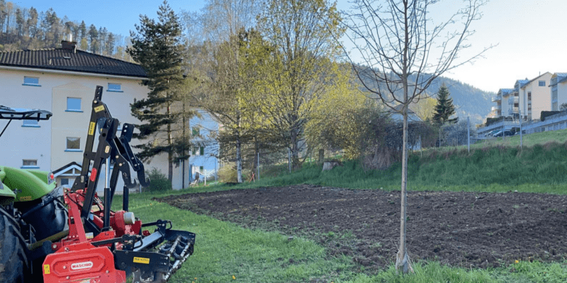 header bild garten tavannes